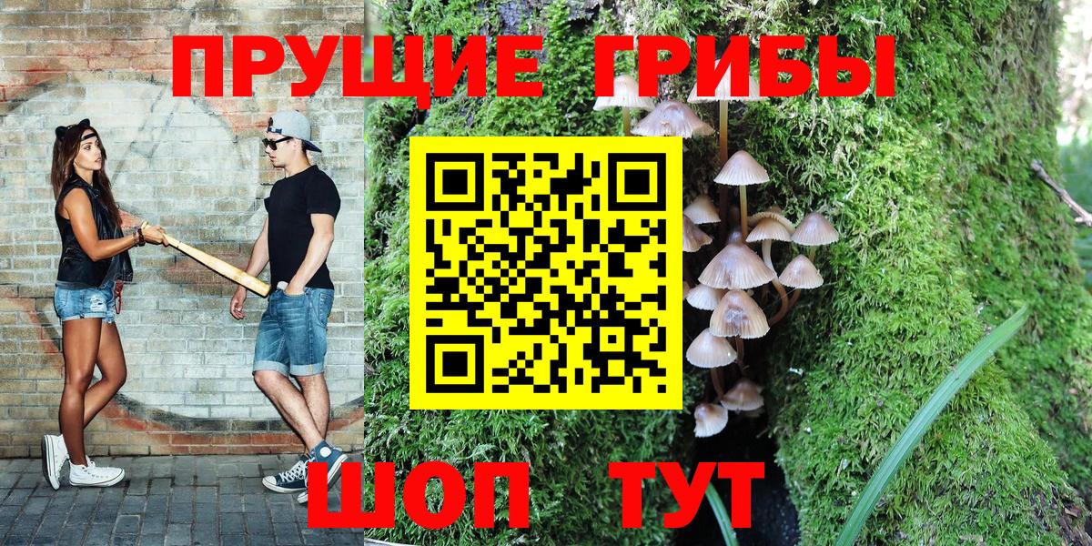 Сосновый Бор  Галлюциногенные грибы Magic Shrooms  Вход с VPN  где найти наркотики  Галлюциногенные грибы ЛСД 
